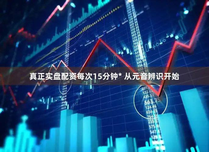 真正实盘配资每次15分钟* 从元音辨识开始