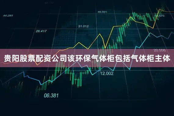 贵阳股票配资公司该环保气体柜包括气体柜主体