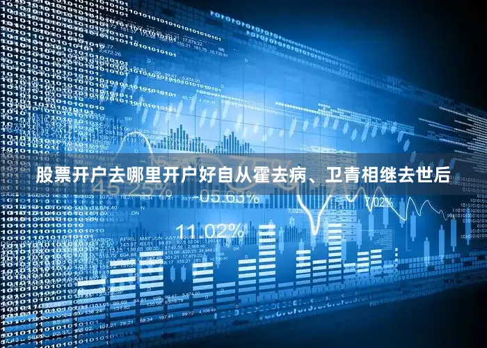 股票开户去哪里开户好自从霍去病、卫青相继去世后