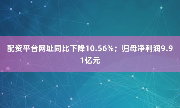 配资平台网址同比下降10.56%；归母净利润9.91亿元